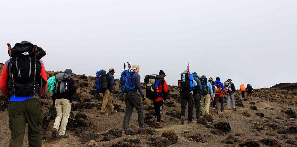 Day 4: Shira 2 to Moir Hut via Lava Tower Trek