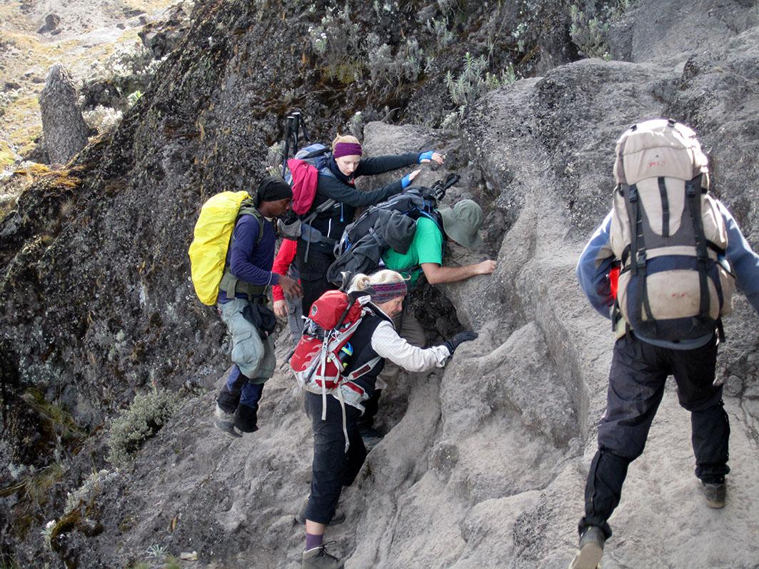 Day 6: Ascent to Uhuru Peak and Descent to Millennium Camp